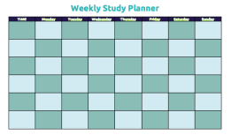 Study Plan for CA CPT